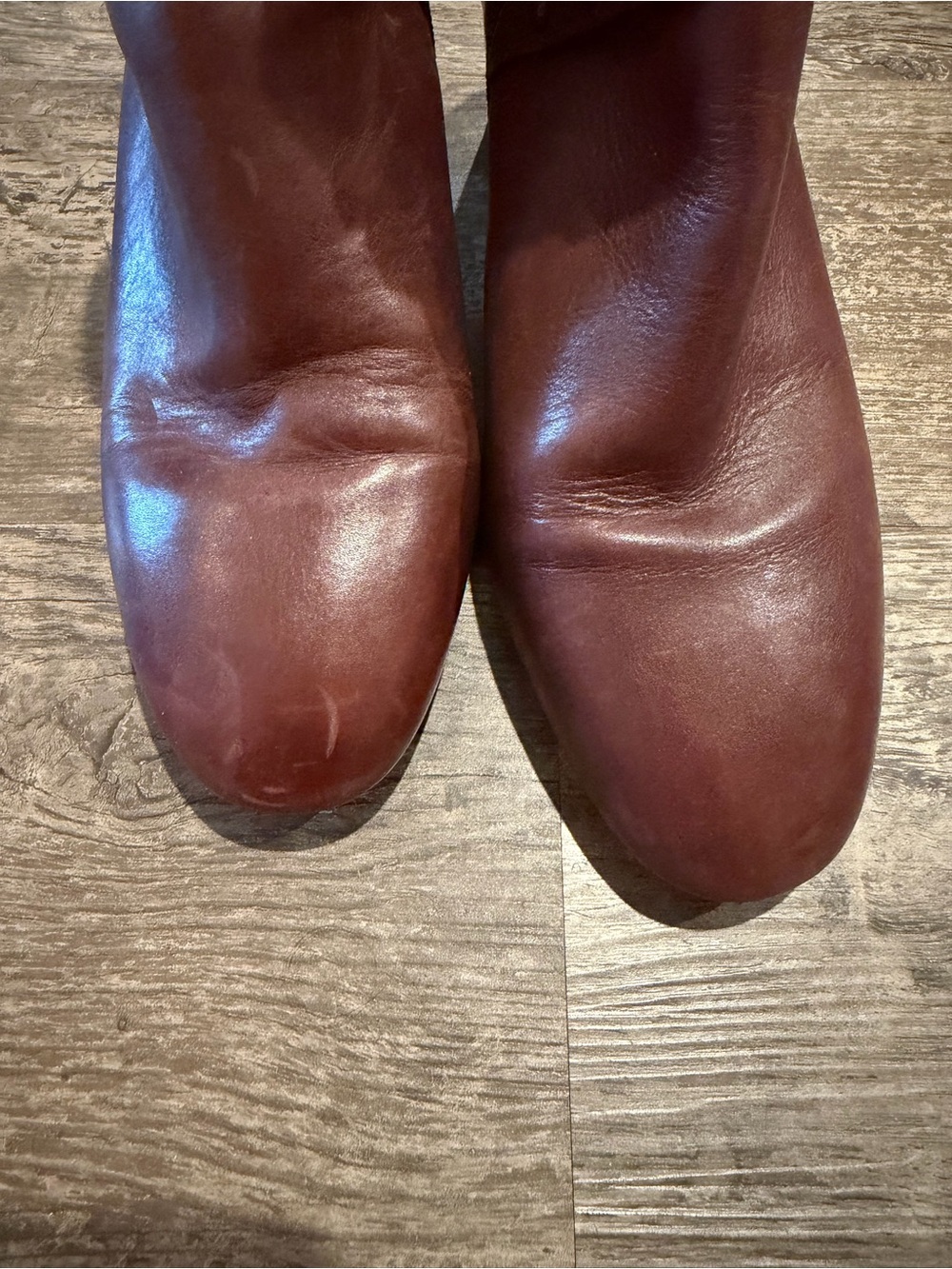 Alex Marie Burgundy Ankle Booties with Studded Strap - Picture 4 of 7
